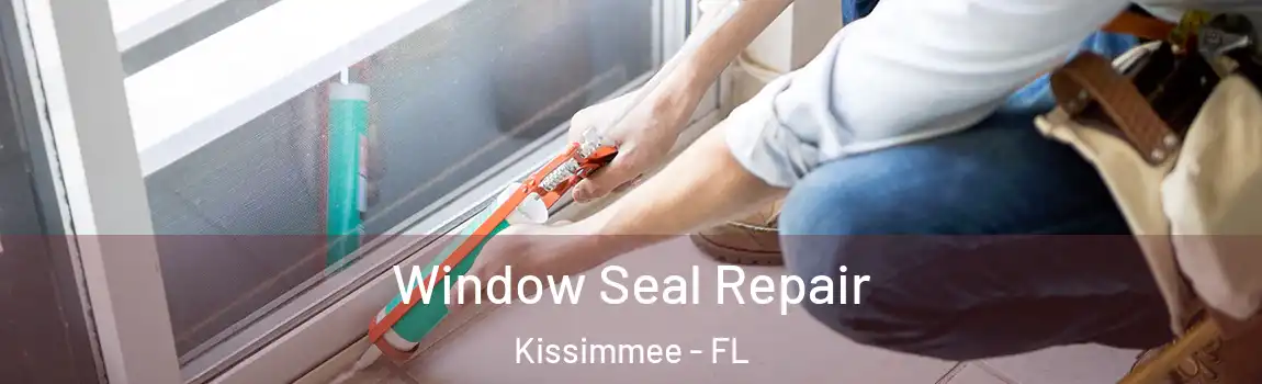  Window Seal Repair Kissimmee - FL